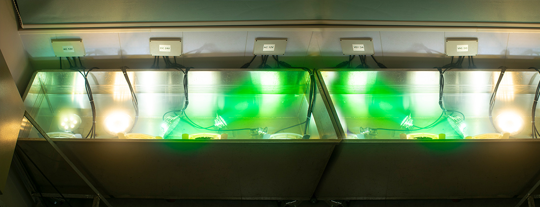 info-1-1 Can Heguang swimming pool lights be used in sea water1